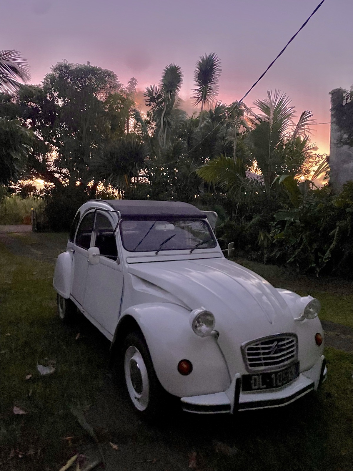 2CV blanche au coucher de soleil, palmiers