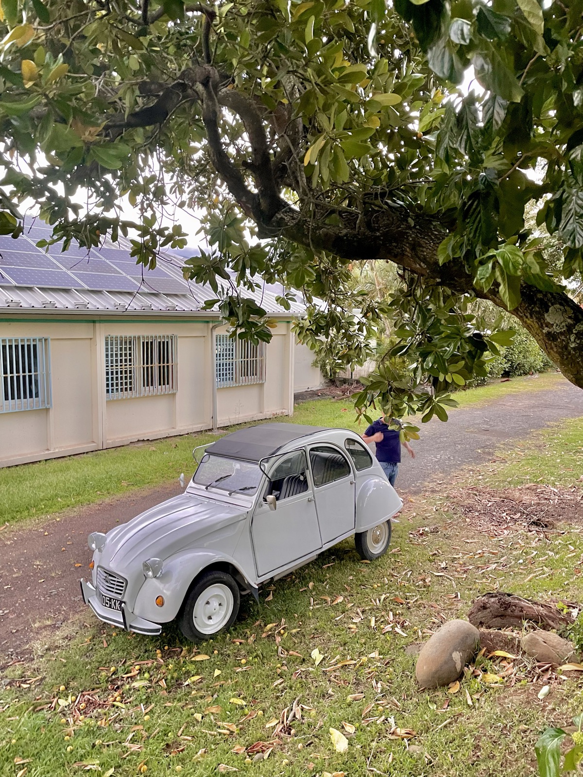 2CV blanche sous les arbres